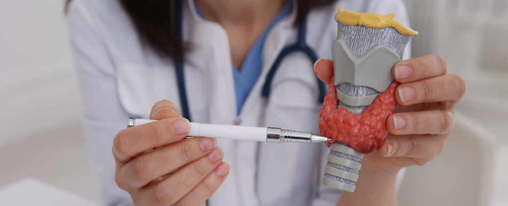 Lekarz wskazuje długopisem na anatomiczny model tarczycy, wyjaśniając pacjentce nadczynność i niedoczynność tarczyzcy